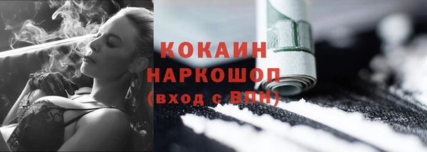 стаф Магас