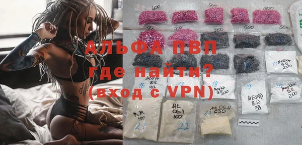 стаф Магас