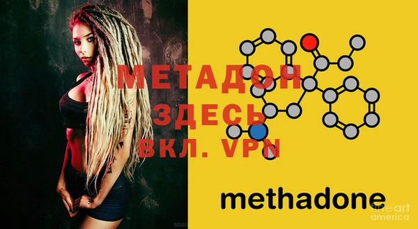 стаф Магас