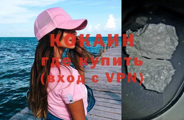 стаф Магас